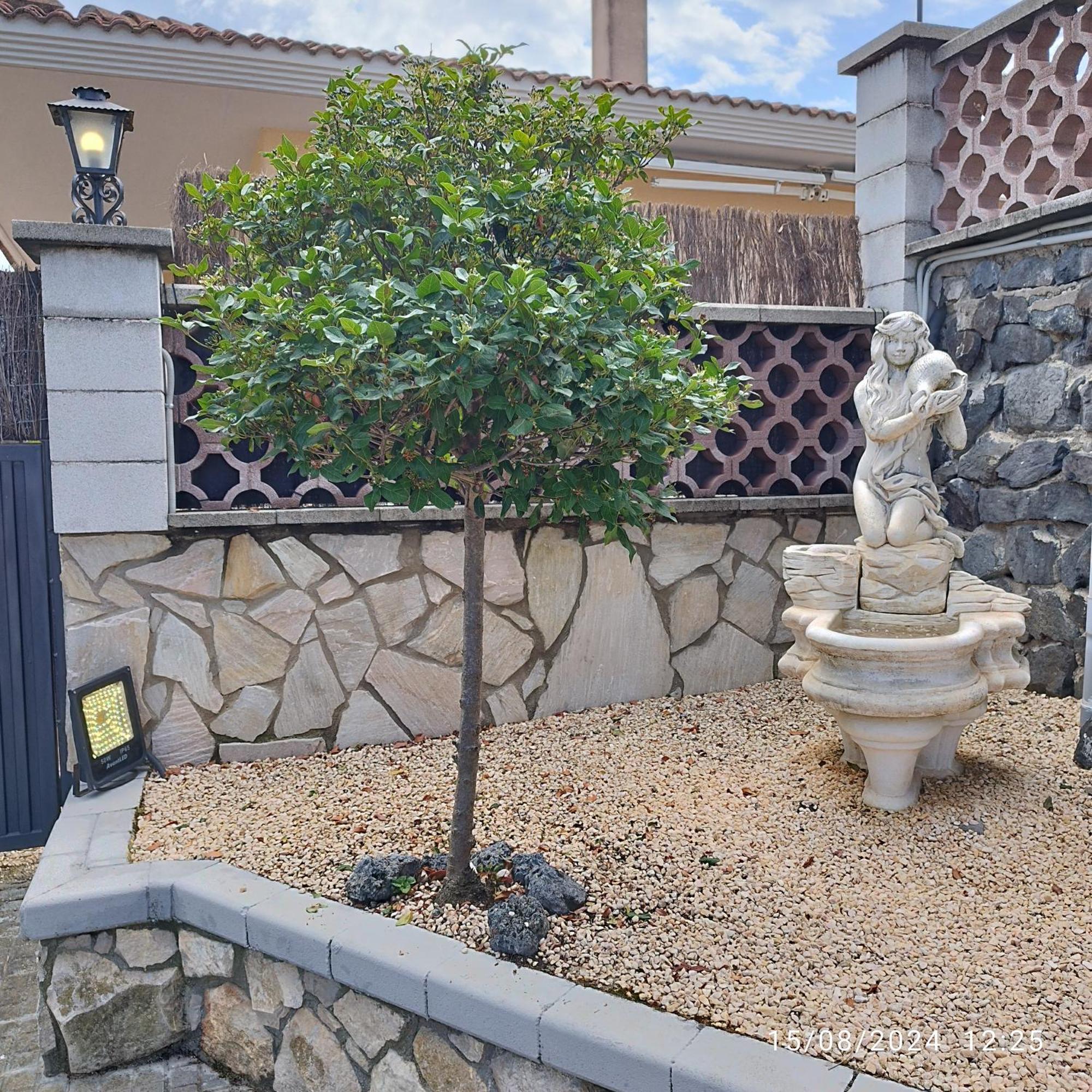 La Biznaga Villa Fogás de Tordera Dış mekan fotoğraf